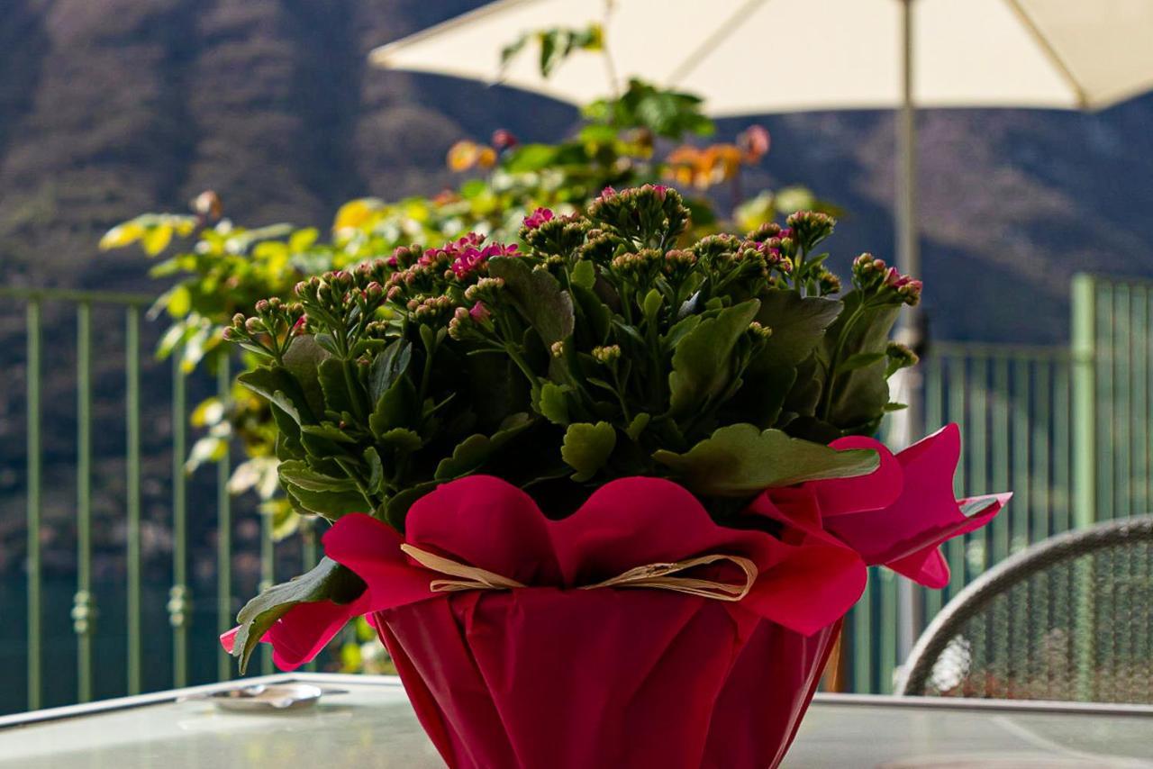 Romantic Home - Lake Como Nesso Exterior photo